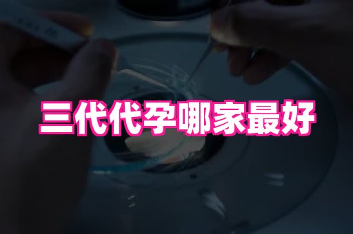 深圳助孕网站 1