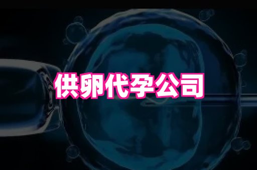 深圳助孕网站 2