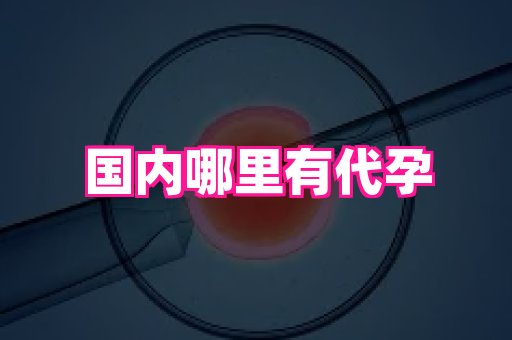 深圳助孕网站 3