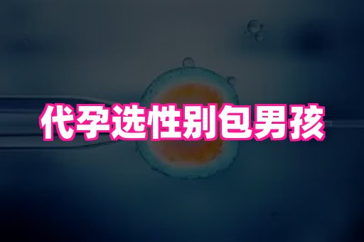 深圳助孕网站 4